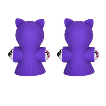 Load image into Gallery viewer, 2Pcs Nipple Enhancer Bigger Vibrator vagina sextoy femme Enlarger Sucker Vacuum Male Female adult sex toys #89
