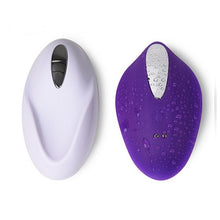 Load image into Gallery viewer, USB Charged Quiet Panty Vibrator Wireless Remote Control Portable Clitoral Stimulator Invisible Vibrating Egg Sex-toys for Women